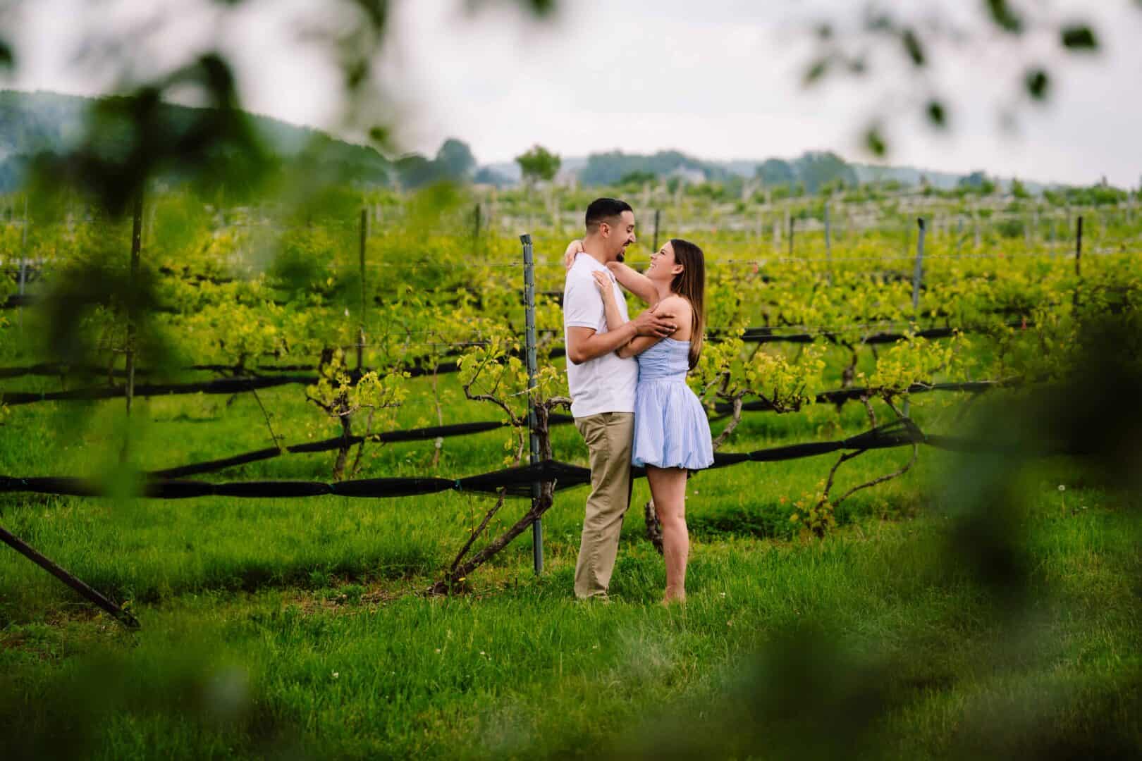 a man and woman hugging in a vineyard